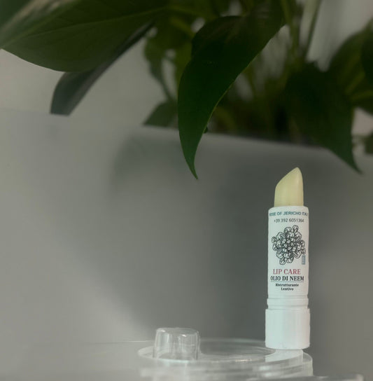 LIP BALM